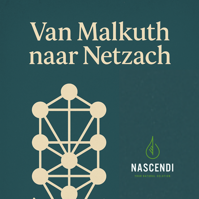 🌿 Van Malkuth naar Netzach