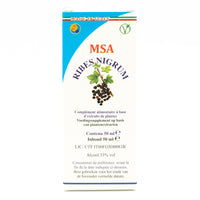 RIBES NIGRUM (MSA)