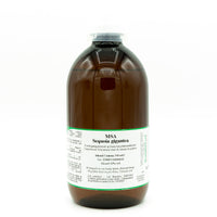 SEQUOIA GIGANTEA 500ML (MSA)